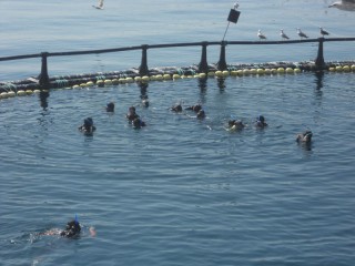 eea1542a3fb2aa96257836a745f1ef2c8c24c95b